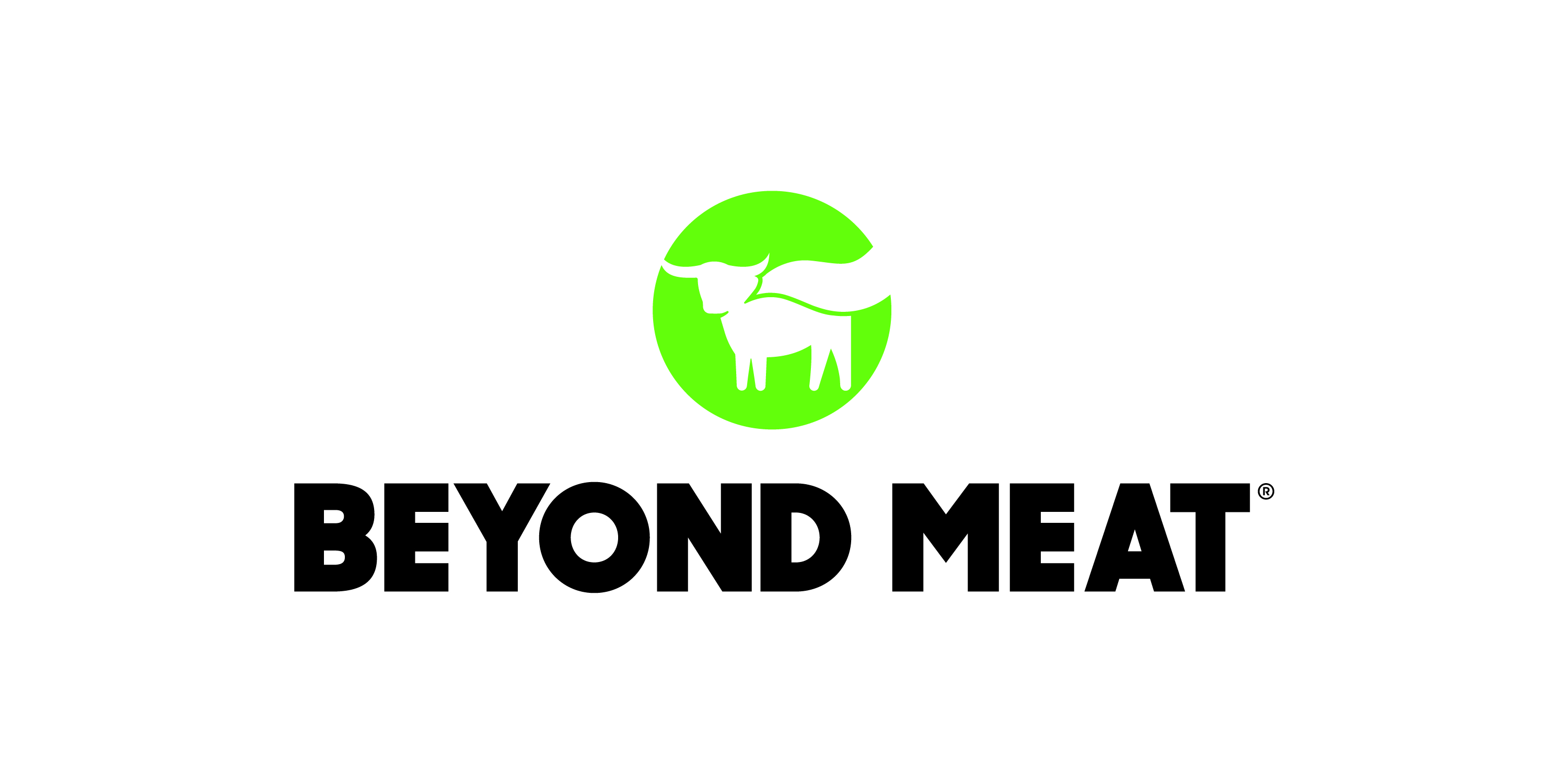 Beyond Meat Company Fact Sheet